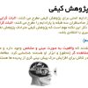 روش شناسی پژوهش کیفی در مدیریت2