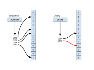 Bloom‑Filter Assisted Linear Search