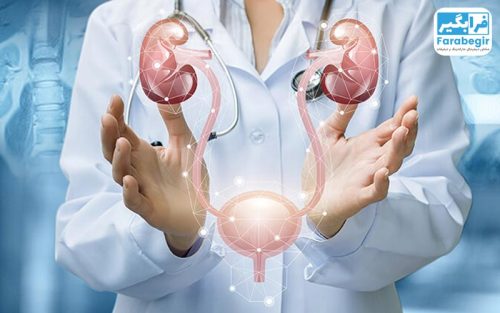 طراحی سایت متخصص اورولوژی