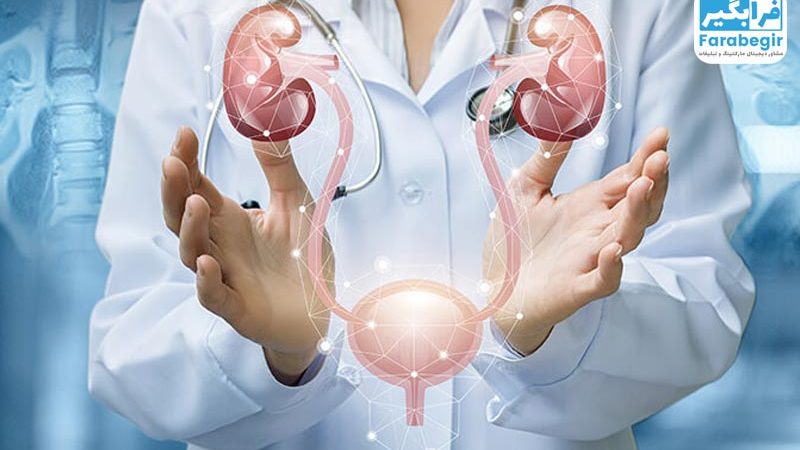 طراحی سایت متخصص اورولوژی