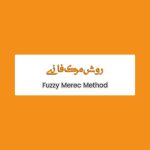 آموزش جامع روش MEREC فازی